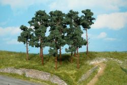 HEKI 1413 Scots Pine Trees 10-16CM (14)