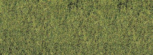 HEKI 1574 Realistic Wild Grass 