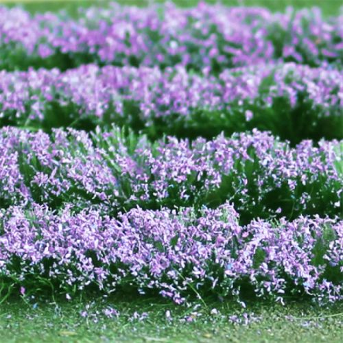 Lavender Field - OO/HO Scale - 00712