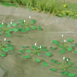 Water Lilies - OO/HO Scale
