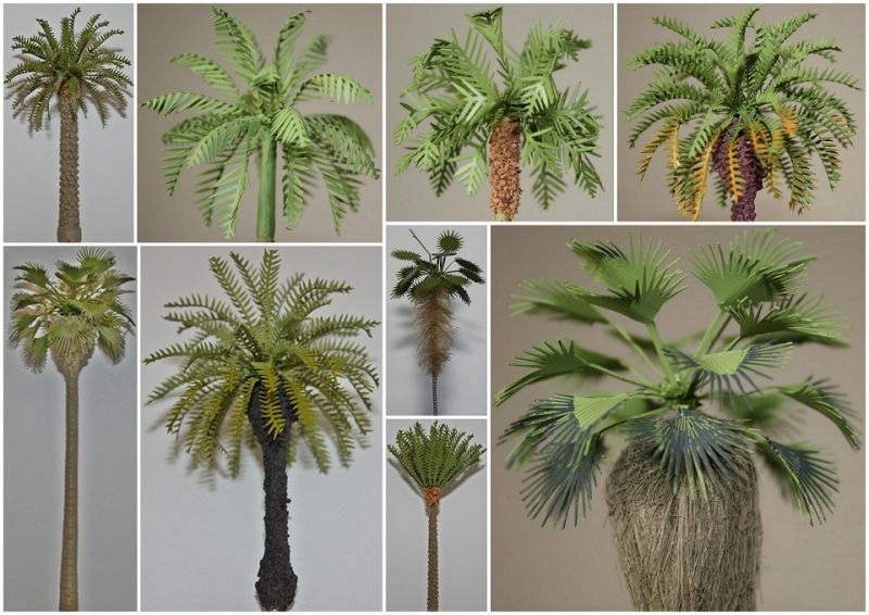 WORLD'S PALM TREE MODEL 1/35 & 32 SCALE APPROX 30 CM TWP-009 HEIGHT 
