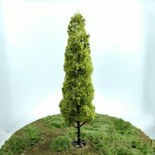 PL1099 - 180mm Tall Poplar Type Tree