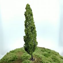PL1100 - 180mm Tall Poplar Type Tree